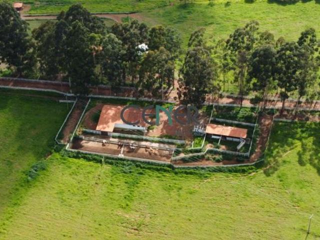 Fazenda haras Lagoa Negra com 43,5 ha em Barbacena MG