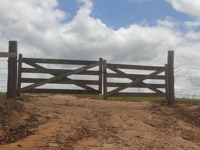 Fazenda Itapetininga 68 alqueires