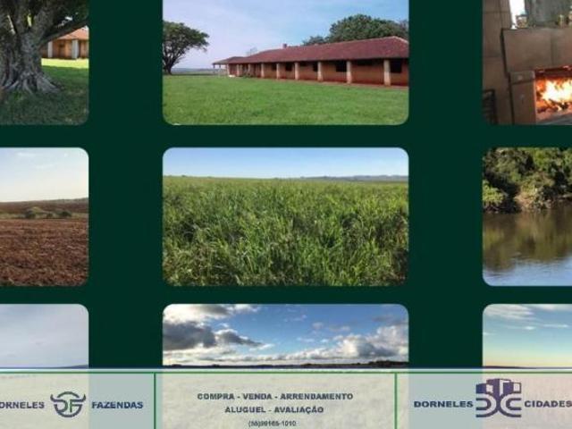 Fazenda,, Itaqui, RS