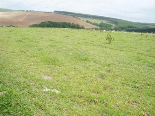 Fazenda, INDEFINIDO, Taquarituba Codigo: 3091