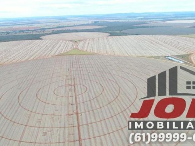 Fazenda, Ipameri, Ipameri, GO