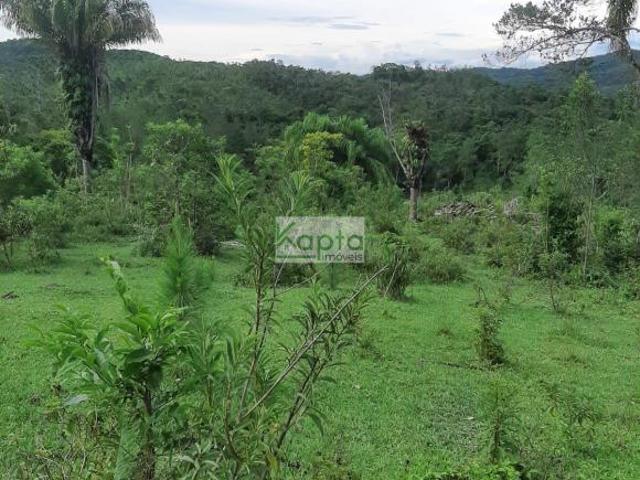 Fazenda Jacupiranga/SP