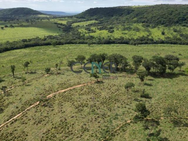 Fazenda Lagoa de Cima com 257,2 ha em Pompeu MG