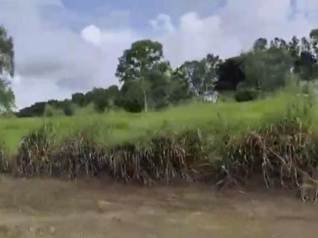 Fazenda Lagoa Grande MG com 1804 hactares R$ 63.140.000,00