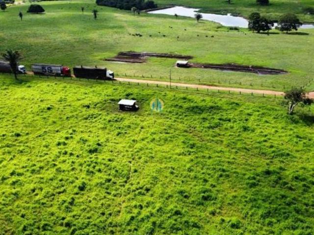 Fazenda Lavoura JUARA MT