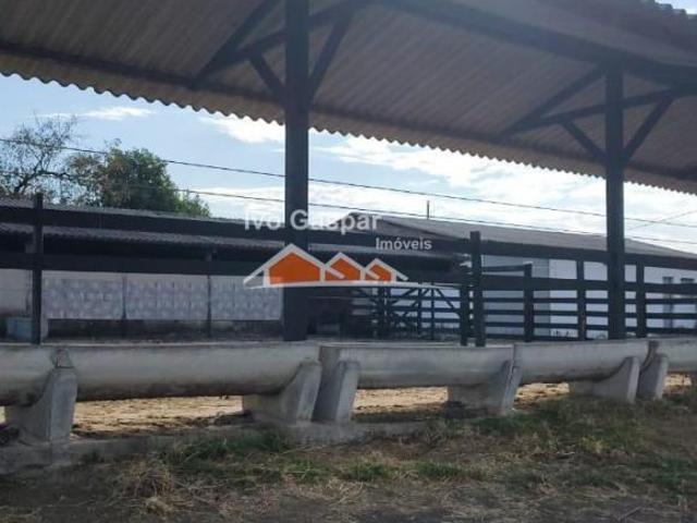 Fazenda, Leandro Ferreira, Leandro Ferreira, MG