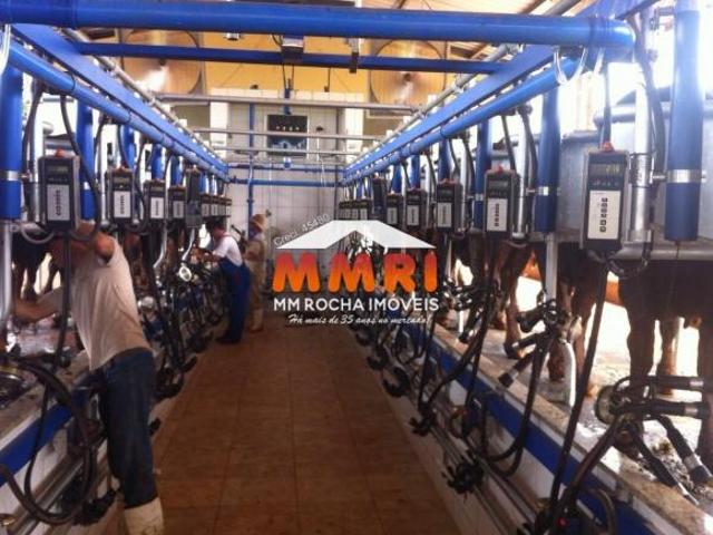 Fazenda Leiteira à Venda em Bom Despacho MG