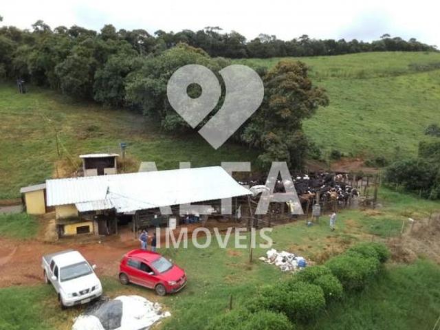 Fazenda Leiteira Completa e Produtiva com Estrutura de Alta Capacidade Oportunidade Única em Antôn
