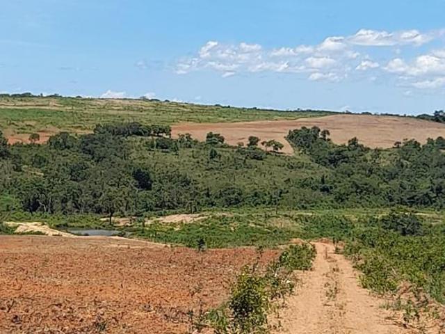 Fazenda 260 ha localizada em Cordisburgo/MG
