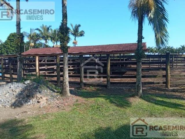 Fazenda localizada em Iguape totalizando 190 alqueires com extensão de 2km margeando a rodovia