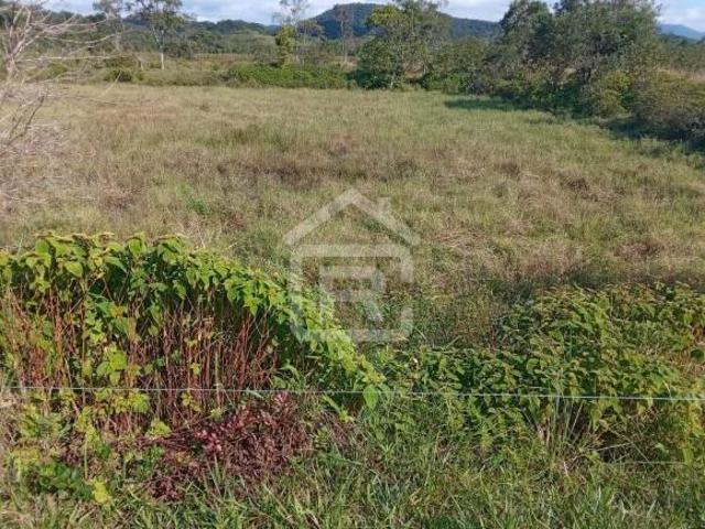 Fazenda localizada em Sete Barras, com 44 alqueires totais