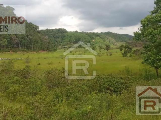 Fazenda localizada em Sete Barras, com 40 alqueires totais sendo 10 alqueires em plantação de palmit