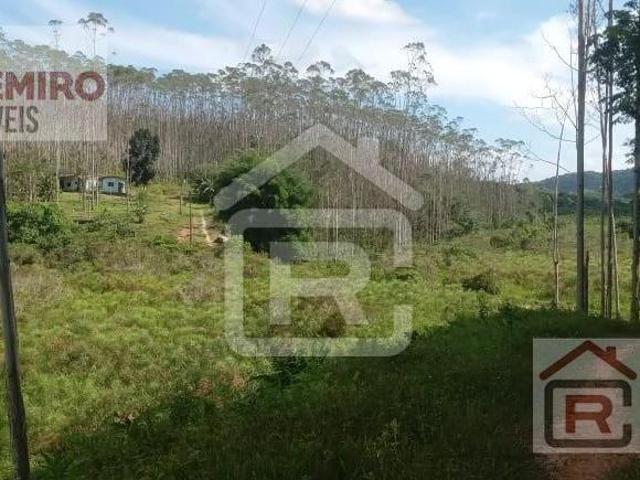 Fazenda localizada em Sete Barras contendo plantação de Eucalipto