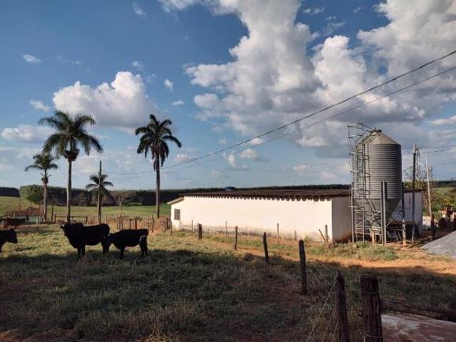Fazenda localizada em Pompeu/MG