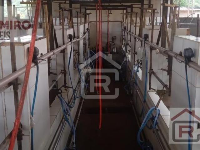 Fazenda localizada em Registro SP com 88 alqueires totais, sendo 70 alqueires em pasto, ideal para