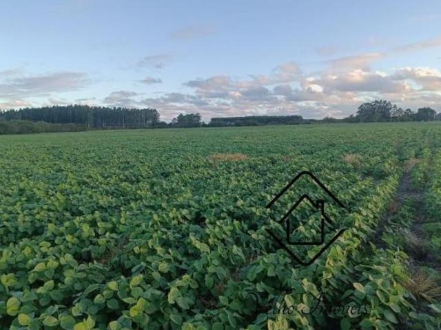 Fazenda, Palmares do Sul, Palmares do Sul, RS