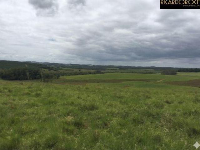 Fazenda para Agricultura e Pecuária | 1.800 Hectares | Zona Rural Bagé | RS