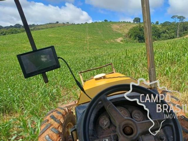 Fazenda para agropecuária e agricultura toda tratoravel
