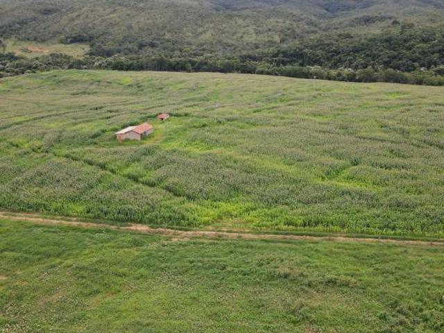 FAZENDA PARA GADO E CEREAIS EM COROMANDEL