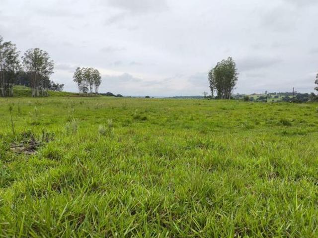 Fazenda,para gado,grãos