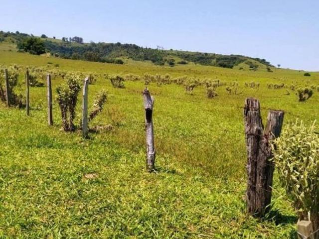 Fazenda. Para pecuária formada