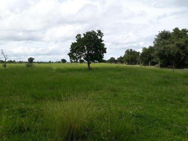 FAZENDA PARA PECUARIA PORTEIRA FECHADA ARAGUAIANA MT