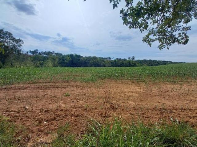 FAZENDA PARA PLANTIO NA REGIÃO DE SILVANO, EM PATROCÍNIO/MG