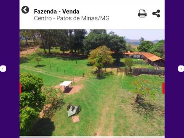 Fazenda para venda com 273 hectares Maior parte para pecuária Patos de Minas MG
