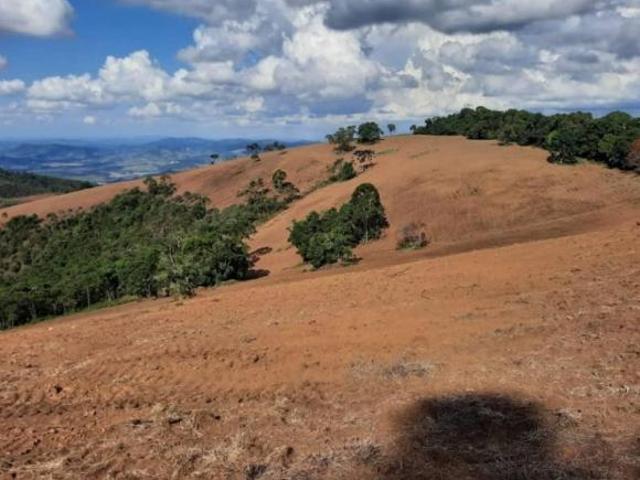 Fazenda para venda Caquende Jesuânia