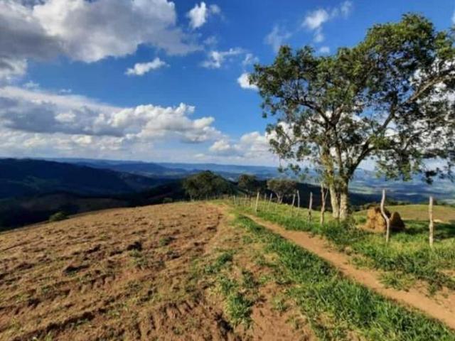 Fazenda para venda Caquende Jesuânia