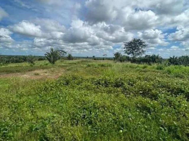 Fazenda para venda Centro Januária