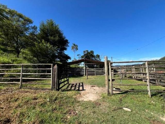 Fazenda para venda Área Rural Moeda