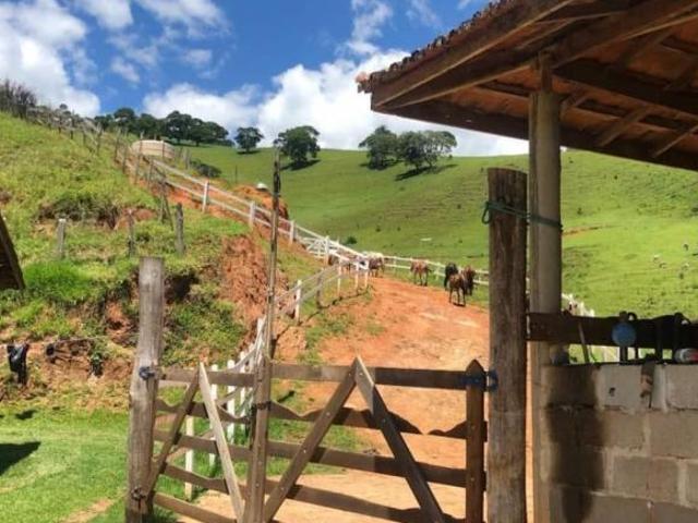 Fazenda para venda Dos Melos Piranguçu
