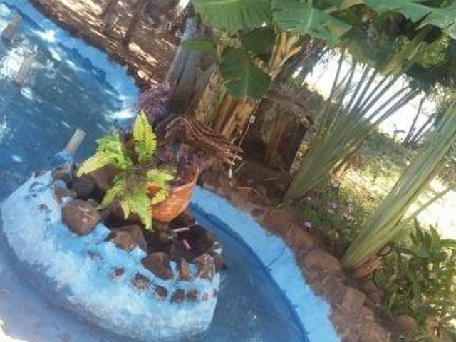 Fazenda para venda em Conceição das Alagoas