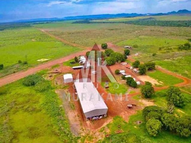 Fazenda para venda em Confresa
