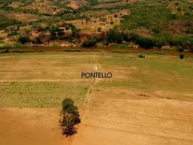 Fazenda para venda em Cordisburgo