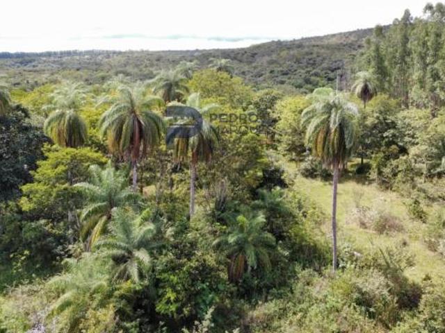 Fazenda para Venda em Cordisburgo, MG 231, 3 dormitórios, 1 suíte, 1 banheiro, 2 vagas