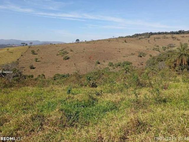 Fazenda para venda em Coronel Xavier Chaves