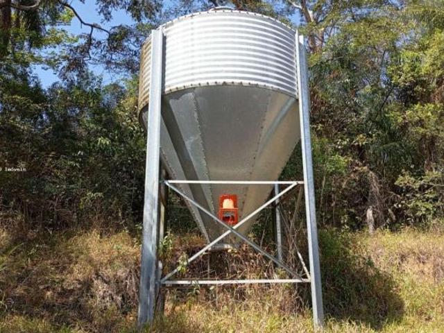 Fazenda para venda em Coronel Xavier Chaves