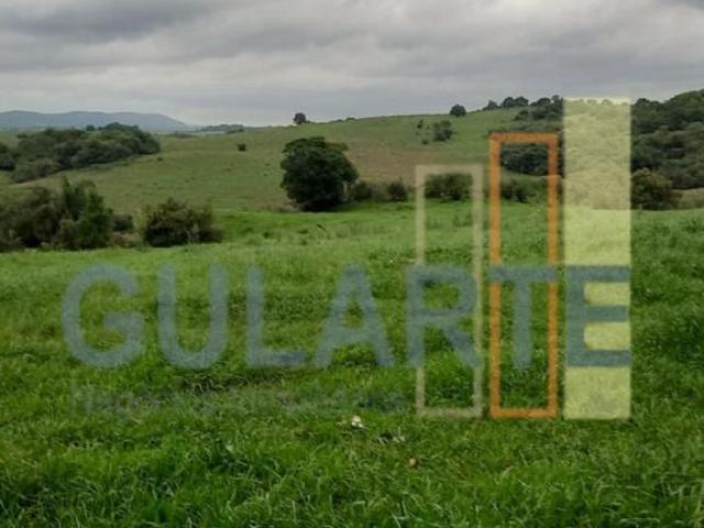 Fazenda para venda em Caçapava do Sul