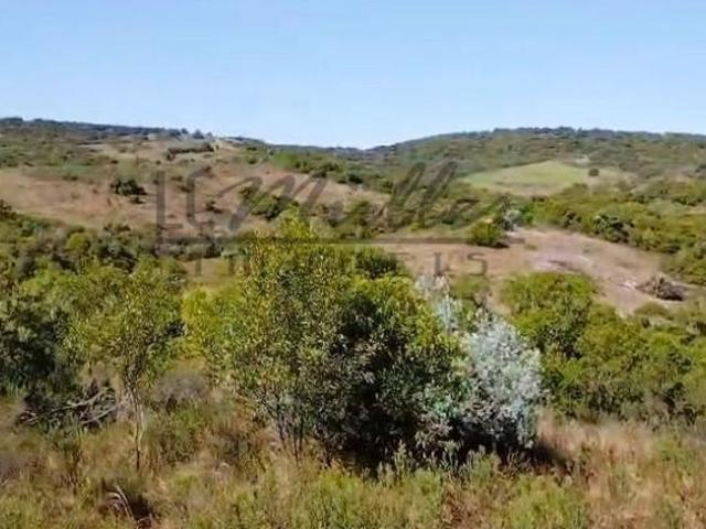 Fazenda para venda em Caçapava do Sul