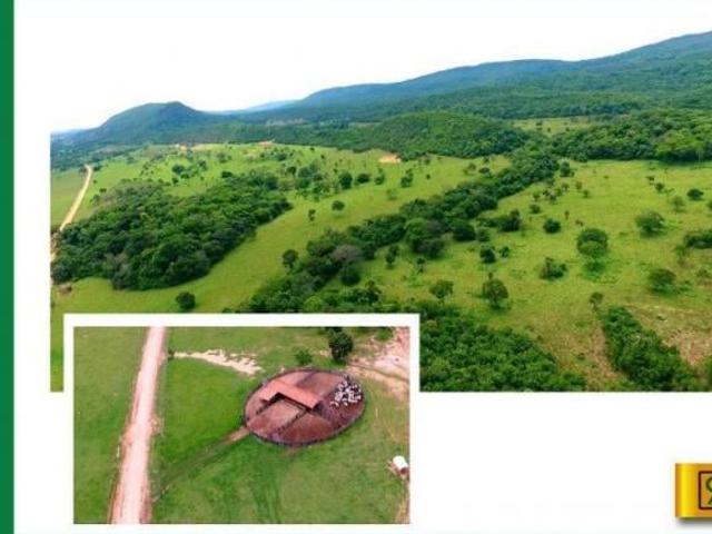 Fazenda para venda em Cáceres