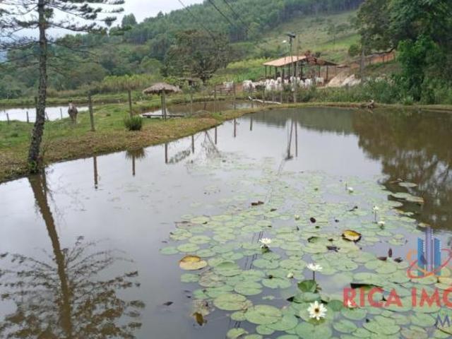 Fazenda para Venda em Caeté, Antonio Santos, 4 dormitórios, 1 suíte, 1 banheiro, 3 vagas