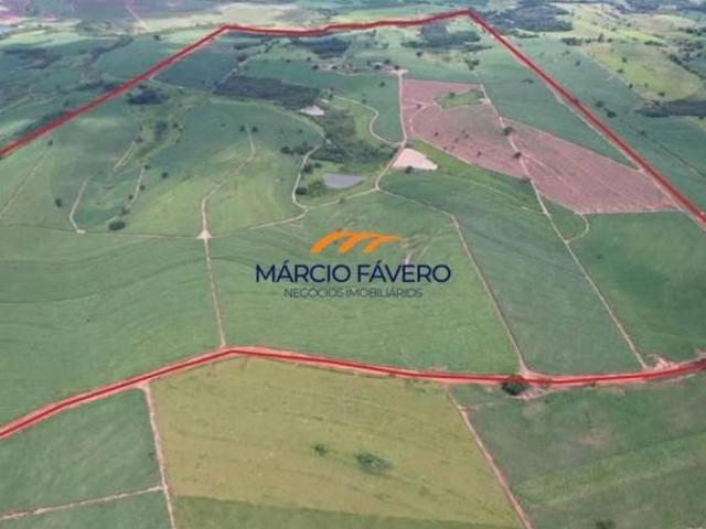 Fazenda para venda em Caiuá