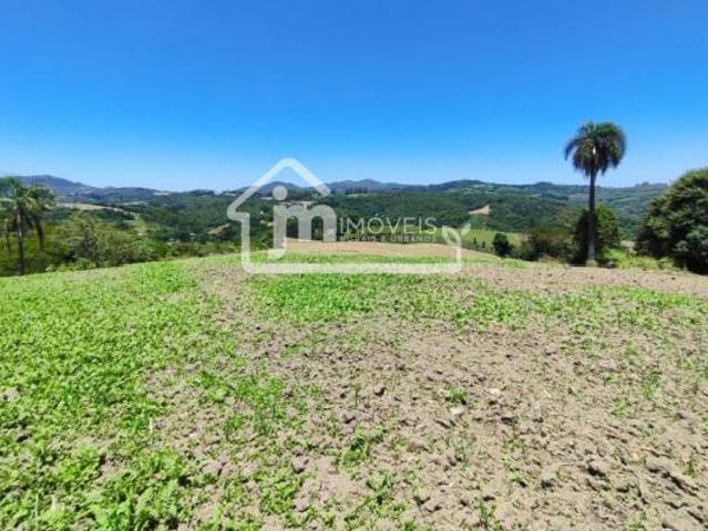 Fazenda para Venda em Campo Largo, Bateias, 6 dormitórios, 3 suítes, 3 banheiros, 3 vagas