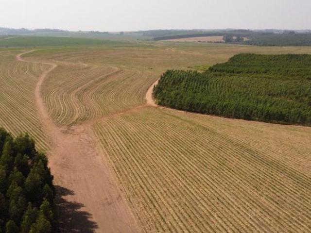 Fazenda para venda em Campos Elíseos, Brotas