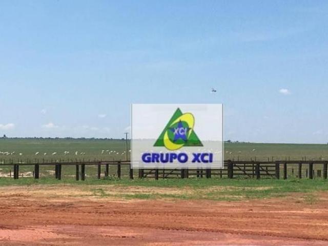 Fazenda para venda em Canarana