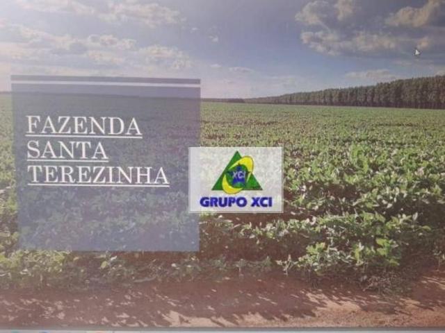 Fazenda para venda em Canarana