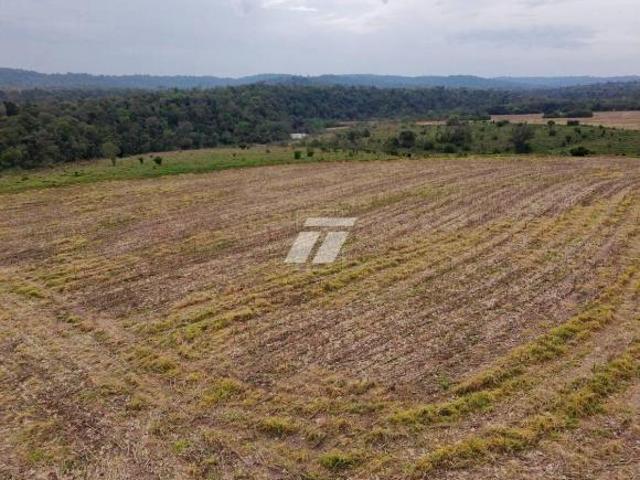 Fazenda para venda em Capitão Leônidas Marques