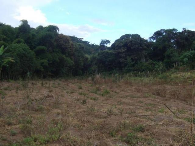 Fazenda para Venda em Carmópolis de Minas